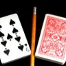 Two Card Monte